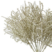 Santolina Bush Grey 23x23x27cm – thumbnail