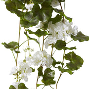 Geranium (Outdoor) Bush White 69x76x86cm – thumbnail
