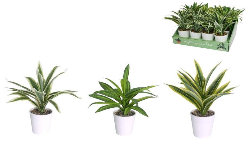 Assorted artificial dracaena plant in pot 27cm