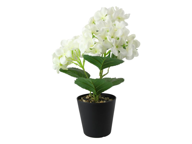 Artificial white hydrangea in black pot