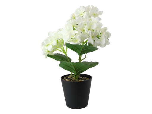 Artificial white hydrangea in black pot