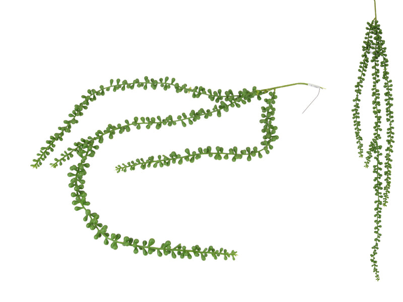 String of Pearls Hanging Plant 83cm