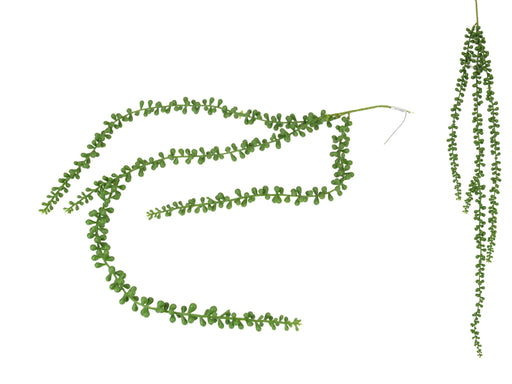 String of Pearls Hanging Plant 83cm