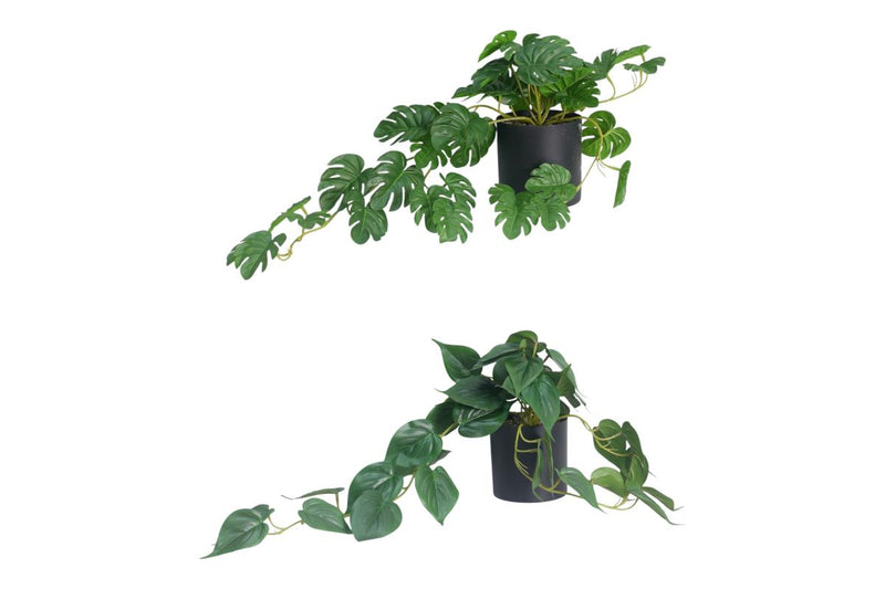 Assorted artificial plant shelf sitter 50cm