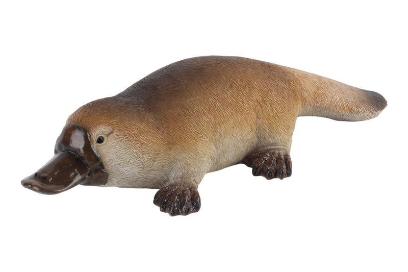 Decorative Australian platypus ornament 30x11cm