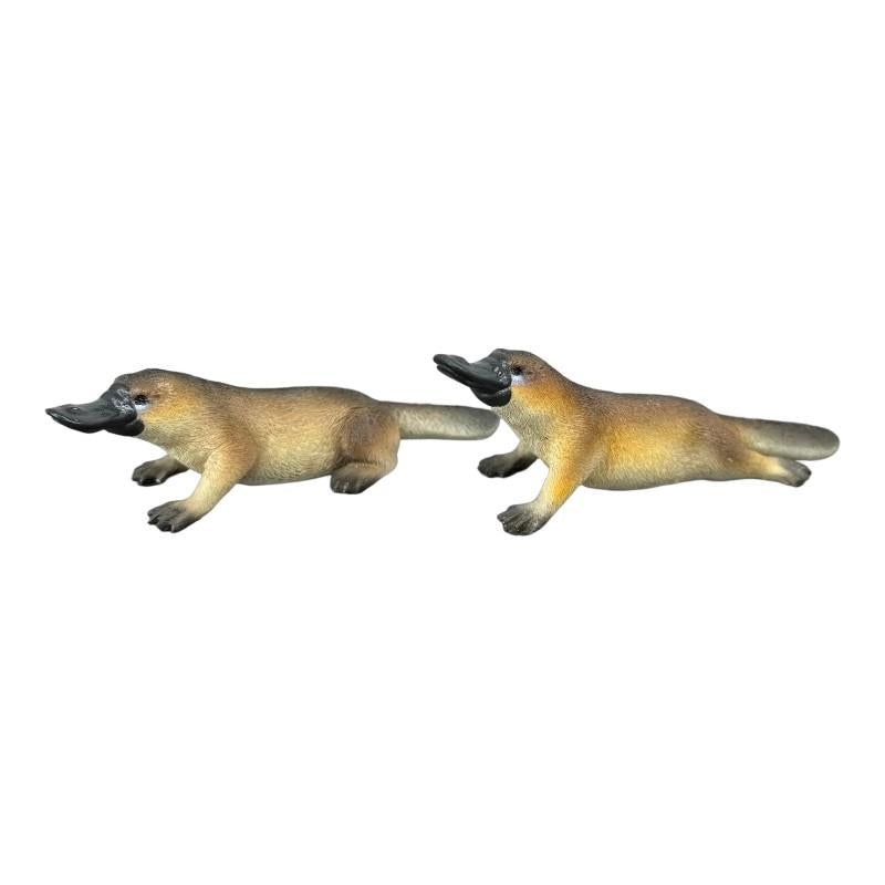 Assorted platypus ornament 13cm