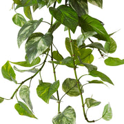 Pothos (Outdoor) Hanging Plant Green 55x59x81cm – thumbnail