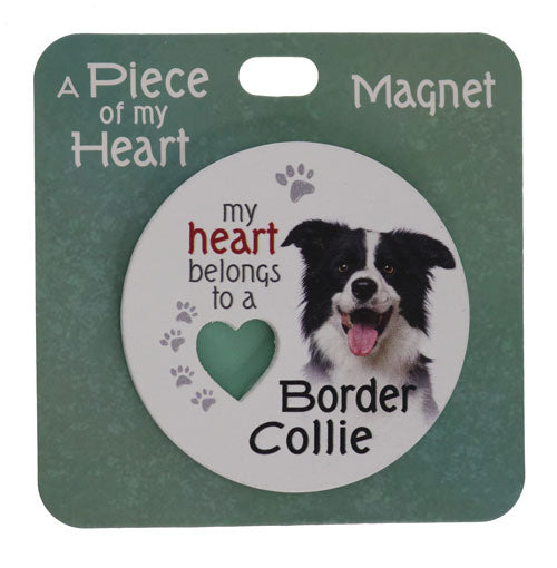 Border Collie fridge magnet with clean design