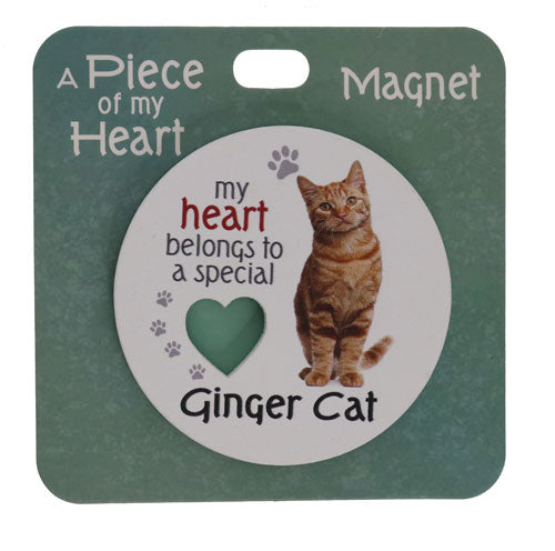 Ginger cat magnet with colorful design.