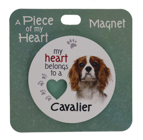 Cavalier King Charles Spaniel magnet gift.