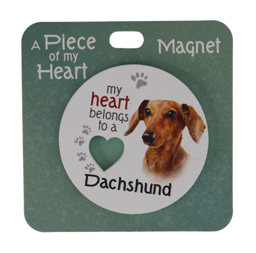 Dachshund dog magnet gift collectible.