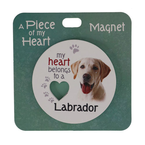 Golden Labrador magnet for home and office décor.
