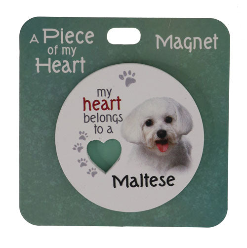 Cute Maltese dog magnet gift for pet lovers.