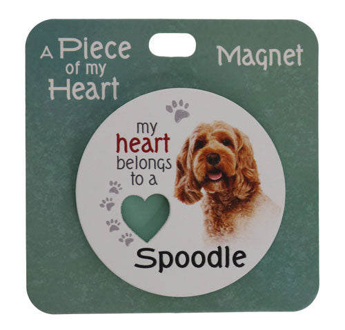 Spoodle dog themed fridge magnet