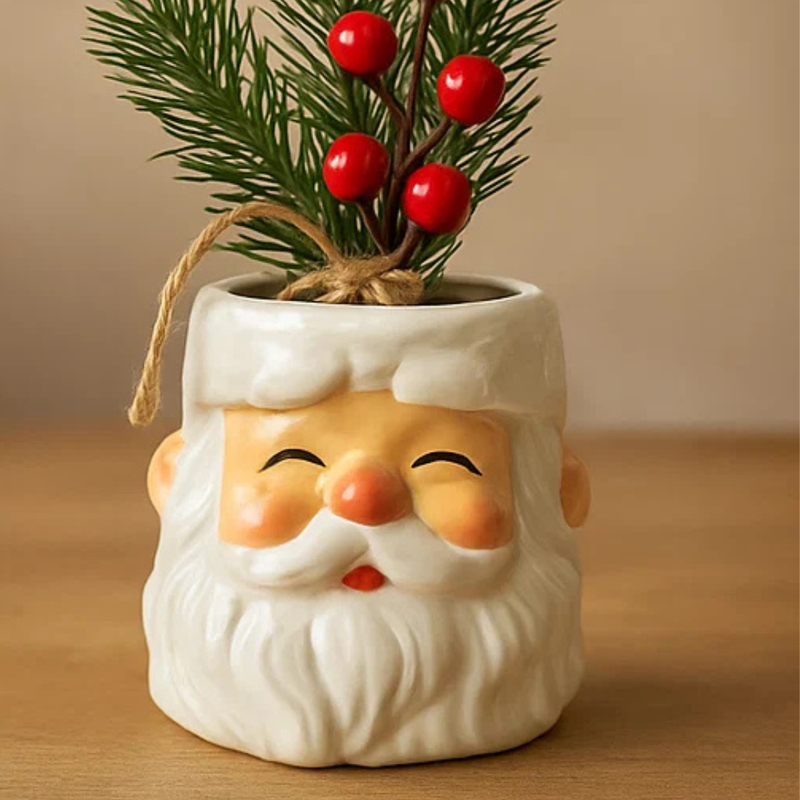 Santa Pot with Christmas Berry Plant 11cm