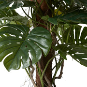 Monstera Totem Potted Green 90x90x180cm – thumbnail