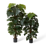 Monstera Totem Potted Green 90x90x180cm – thumbnail