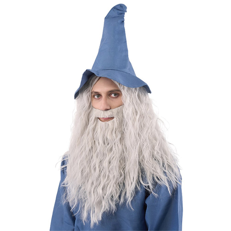 Grey wizard wig with matching long beard