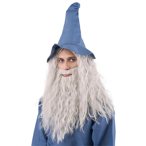 Grey wizard wig with matching long beard