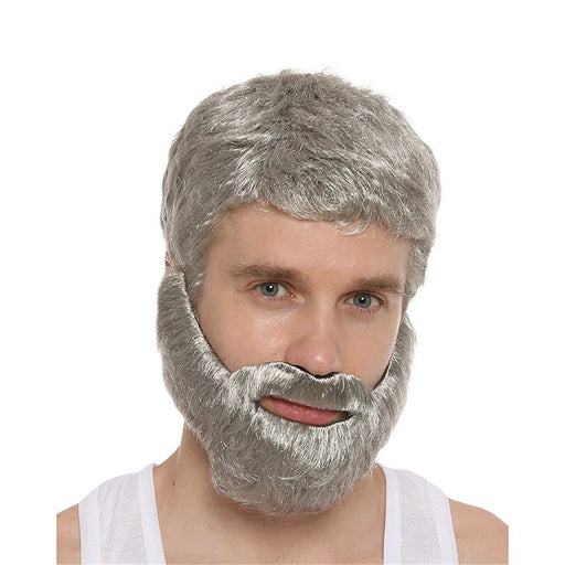 Grey wig and beard set