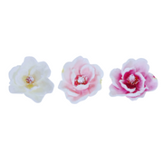 Ronis Pale Snowy Magnolia Stem