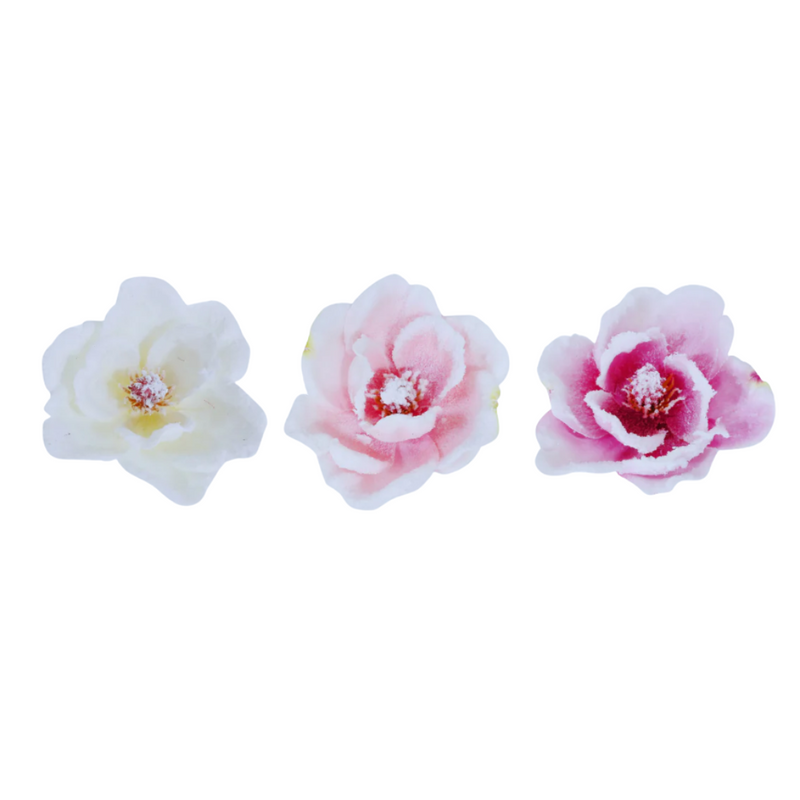 Ronis Pale Snowy Magnolia Stem