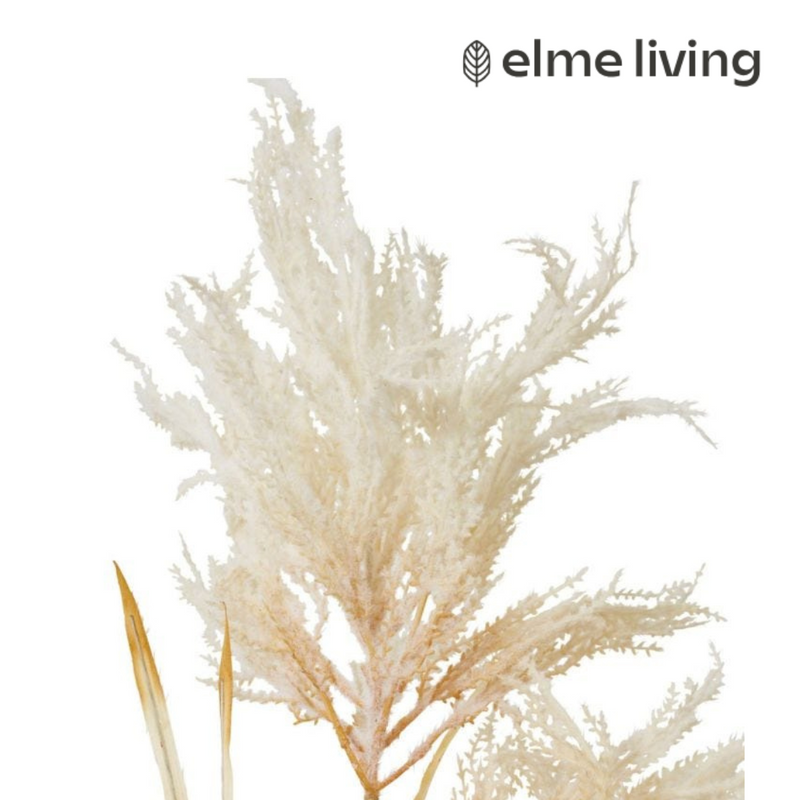 Ronis Pampas Field Grass Decor Spra Cream 30x30x120cm