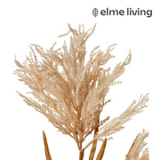 Ronis Pampas Field Grass Decor Spra Light Brown 30x30x120cm