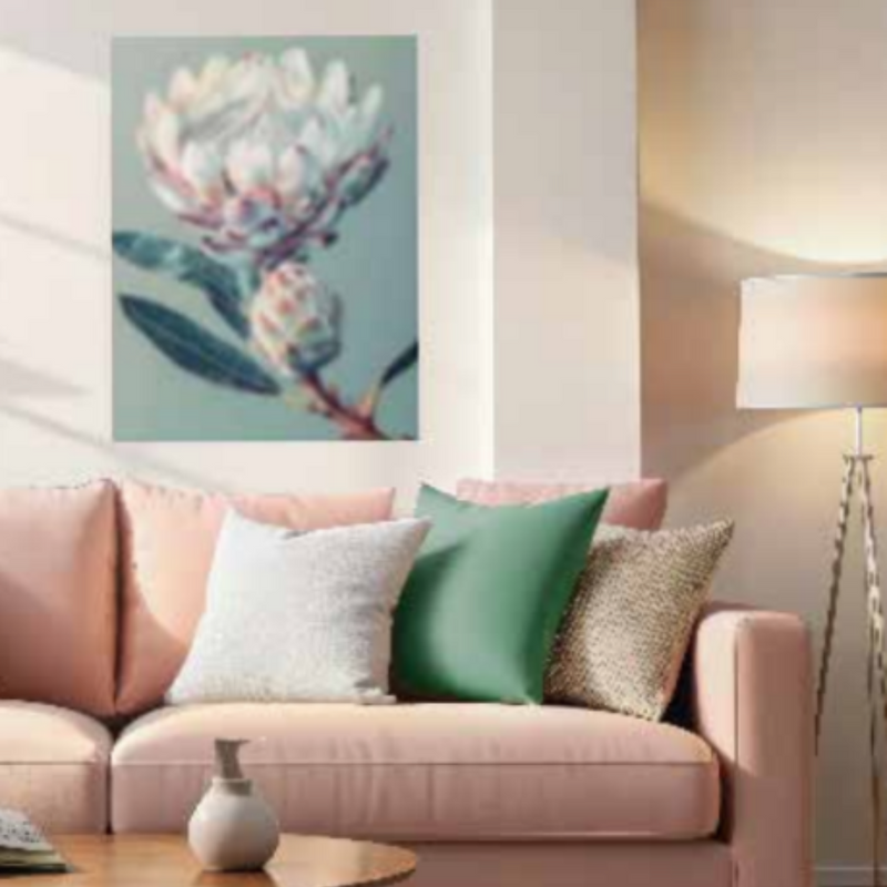 Ronis Pastel Protea Canvas 60x80cm Assorted