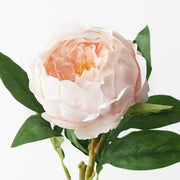 Peony Soft Pink 58cml