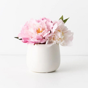 Ronis Peony Mix in Pot Pink 22cmh – thumbnail