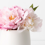Ronis Peony Mix in Pot Pink 22cmh – thumbnail
