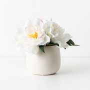 Ronis Peony Mix in Pot White 22cmh – thumbnail