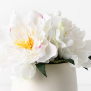 Ronis Peony Mix in Pot White 22cmh – thumbnail