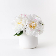 Ronis Peony Mix in Pot White 30cmh – thumbnail