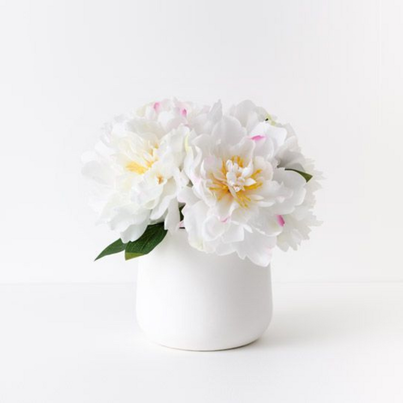 Ronis Peony Mix in Pot White 30cmh
