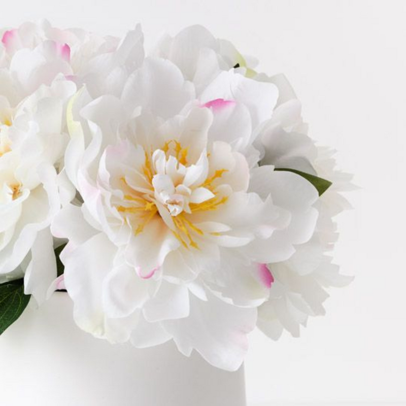 Ronis Peony Mix in Pot White 30cmh