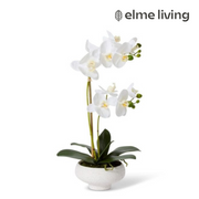 Ronis Phalaenopsis Orchid Footed Bowl 2 Spray 25x15x45cm – thumbnail