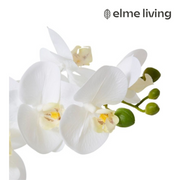 Ronis Phalaenopsis Orchid Footed Bowl 2 Spray 25x15x45cm – thumbnail