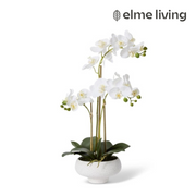 Ronis Phalaenopsis Orchid Footed Bowl 3 Spray 32x25x60cm – thumbnail
