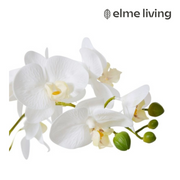 Ronis Phalaenopsis Orchid Footed Bowl 3 Spray 32x25x60cm – thumbnail