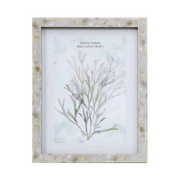 Coraline metallic shell look photo frame 20x25cm decorative coastal picture frame – thumbnail