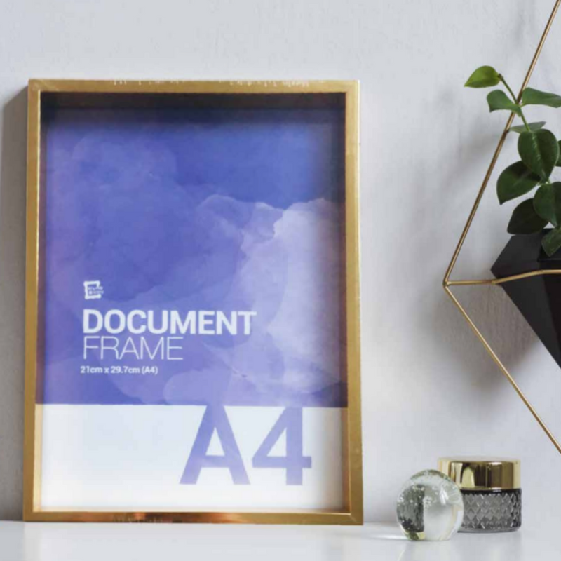 Ronis Photo Frame Quinn Metallic Box Frame 21cmx29.7cm Assorted