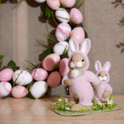 Ronis Pink Bunnysuit Bunnies On Lawn