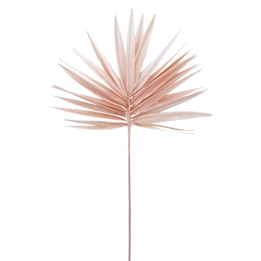 Palm Fan Pink 54x100cm