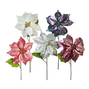 Ronis Poinsettia Long Stem Iridescent 5 Asstd