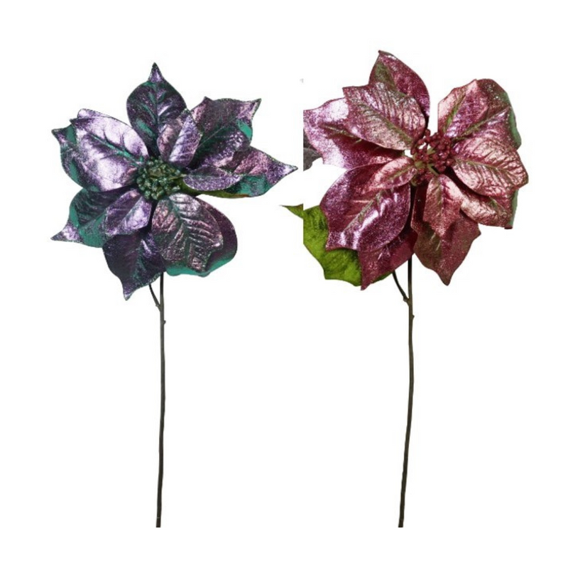 Ronis Poinsettia Long Stem Iridescent 5 Asstd