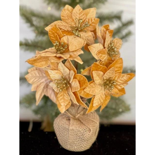 Ronis Poinsettia Pot with 6 Heads 26cm Gold