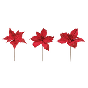Ronis Poinsettia Ruby Red Velvet 31cm Assorted