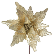 Large champagne poinsettia stem with 45cm flower and 50cm stem for Christmas decorating